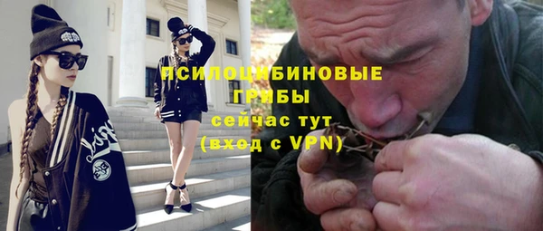 твердый Богородицк