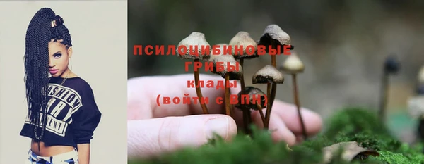 PSILOCYBIN Бугульма
