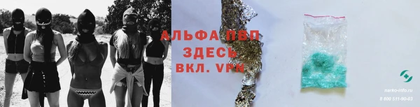 таблы Богданович