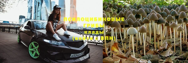 таблы Богданович