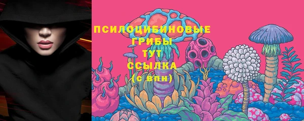 дживик Белокуриха