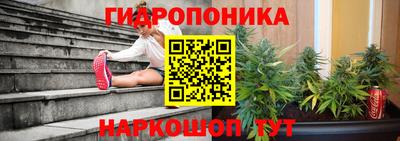 прущие крисы Нарткала