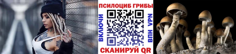Галлюциногенные грибы MAGIC MUSHROOMS  Дальнегорск 