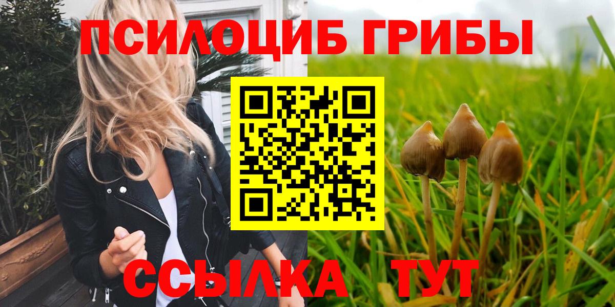 купить  цена  Галлюциногенные грибы прущие грибы  Вход с VPN  Дальнегорск  Псилоцибиновые грибы прущие грибы 