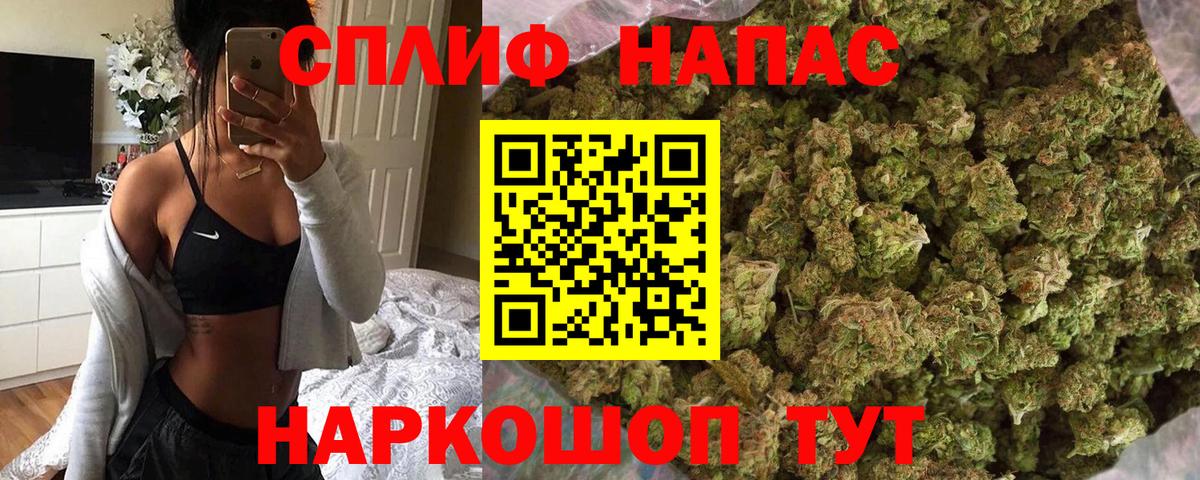 Марихуана план Дальнегорск